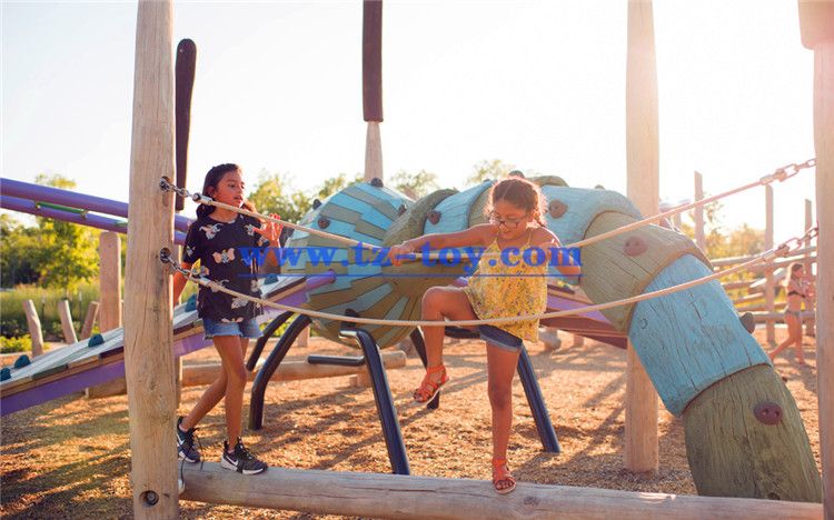 國外兒童游樂(lè )設備